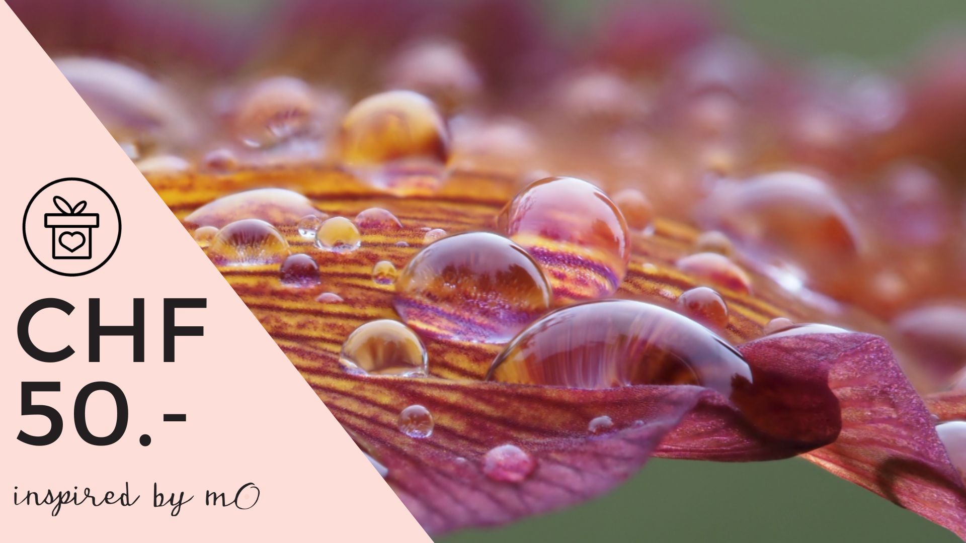 Geschenkgutschein CHF 50.-