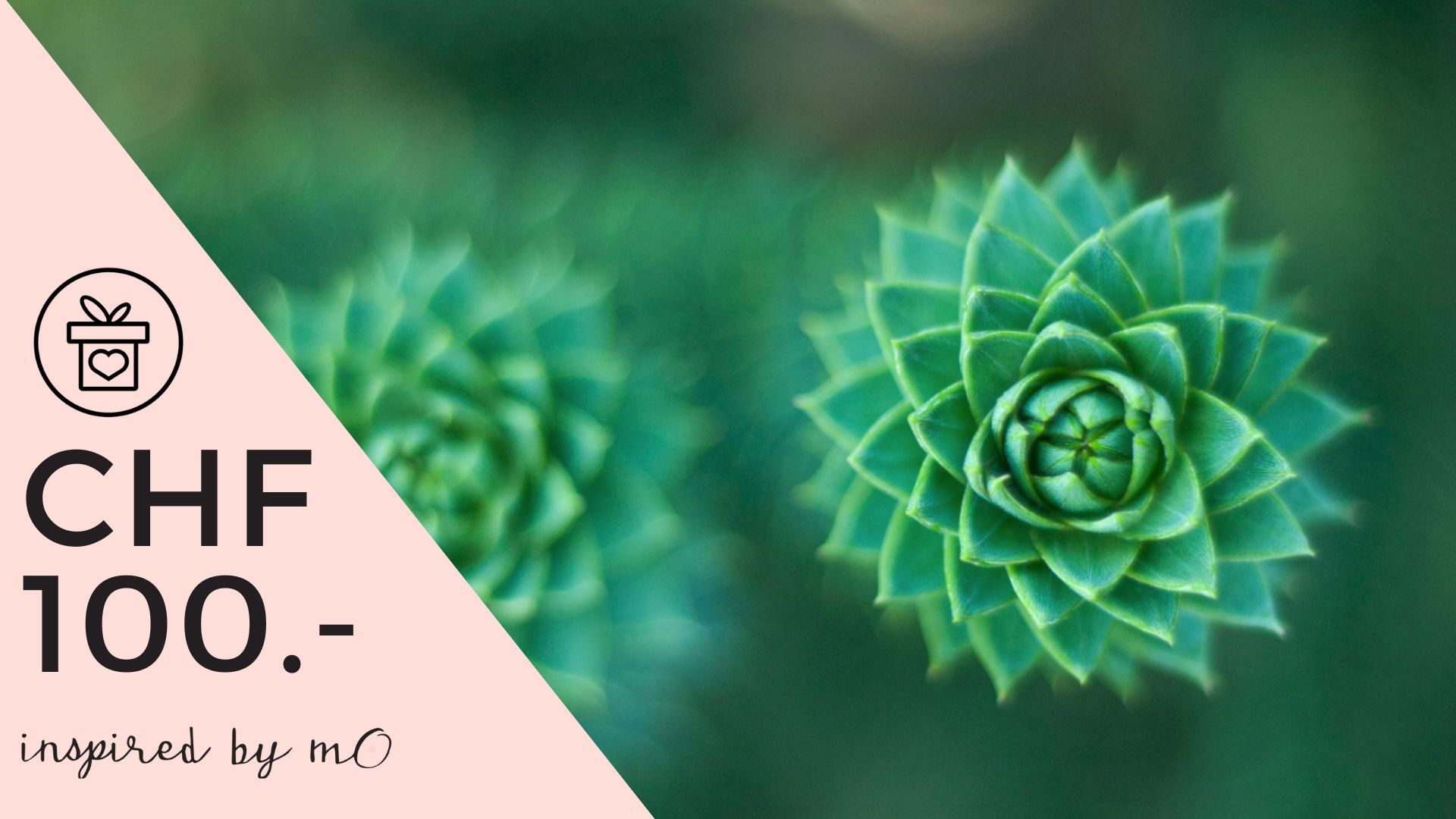 Geschenkgutschein CHF 100.-