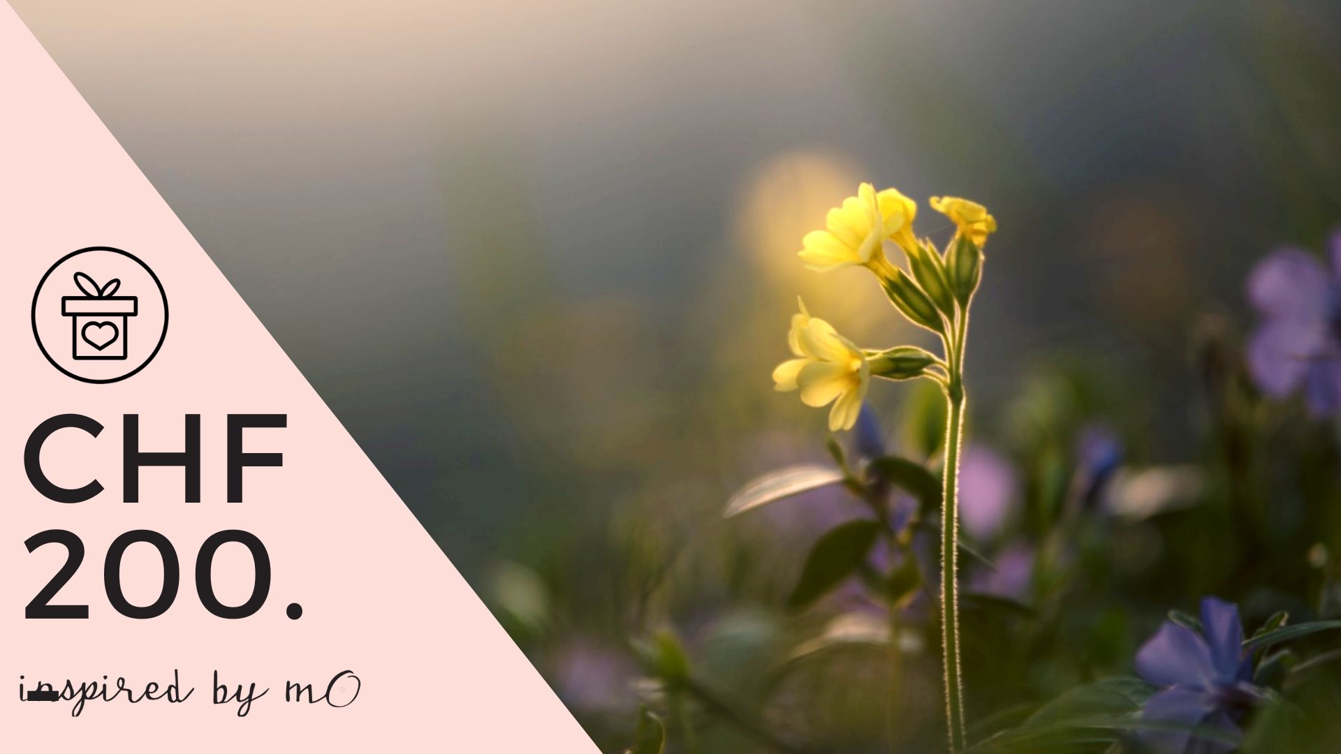 Geschenkgutschein CHF 200.-