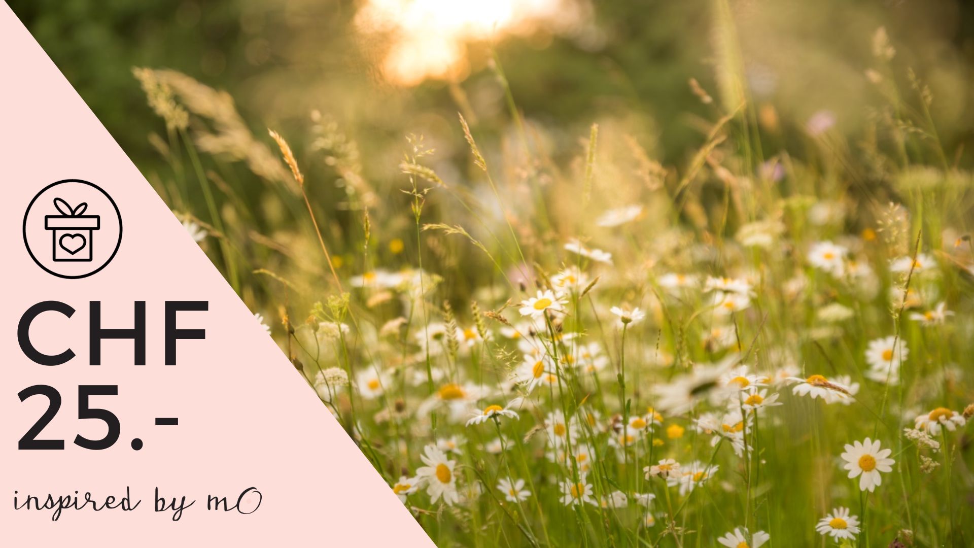Geschenkgutschein CHF 25.-